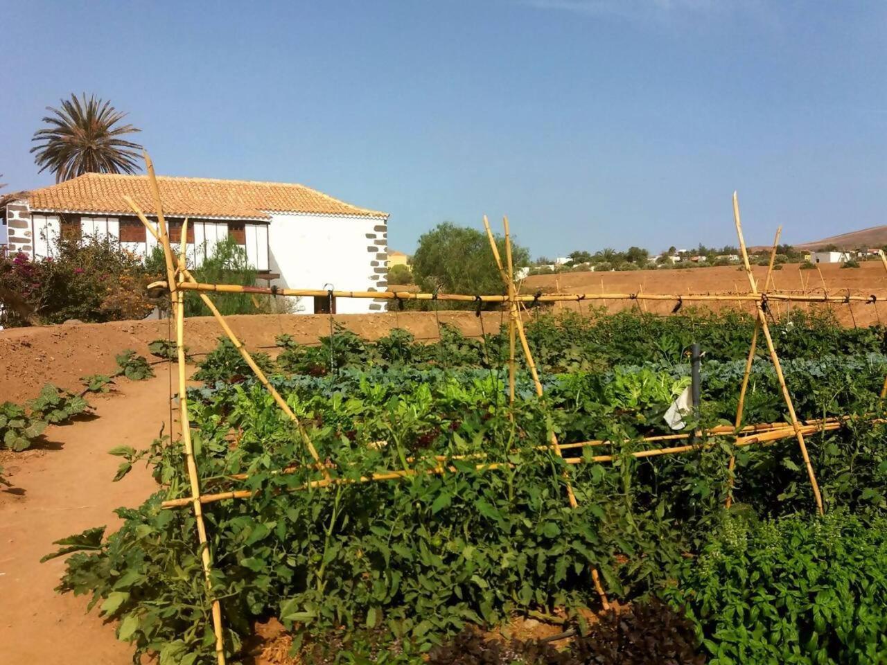 Rural Rugama Villa Puerto del Rosario  Luaran gambar