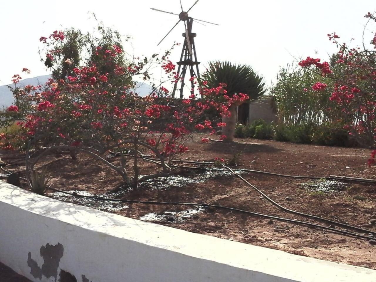 Rural Rugama Villa Puerto del Rosario  Luaran gambar